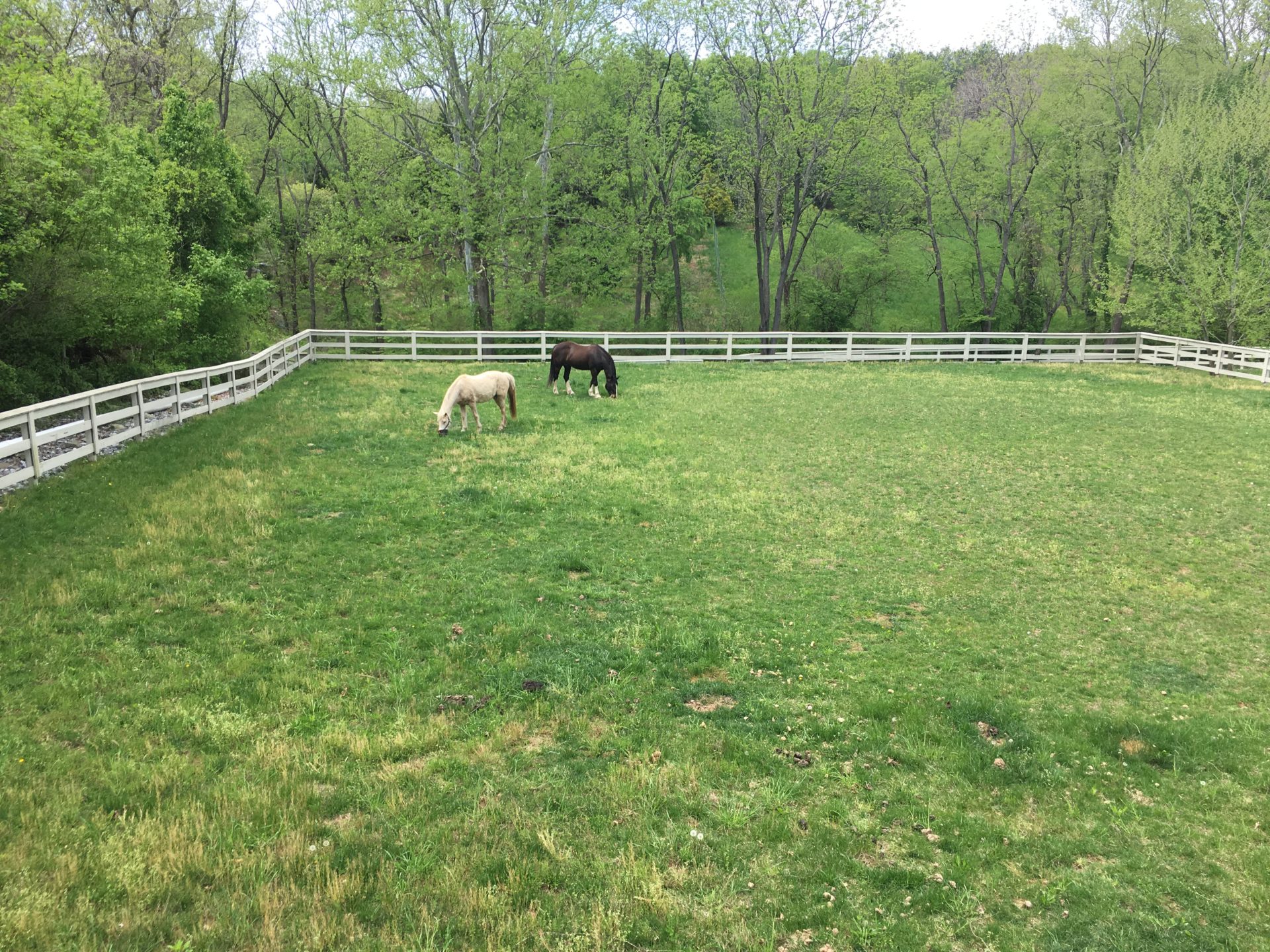 Farm Fence Painting in Howard County MD Archives Painting Contractors